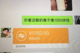 南县专业讨债公司，追讨消失的老赖